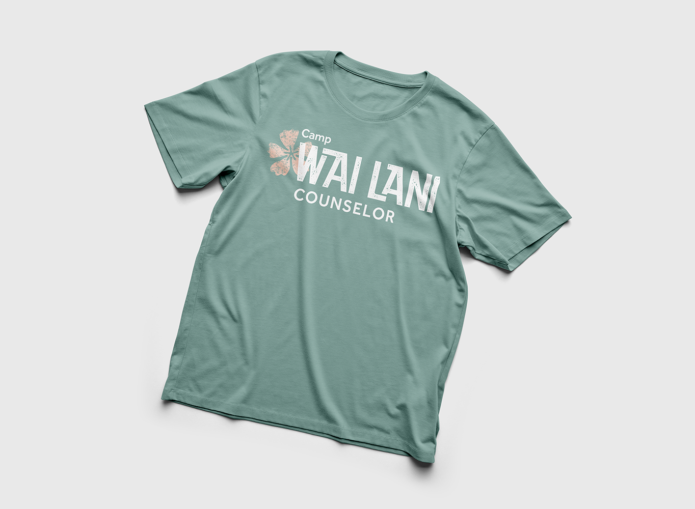 tshirt copy